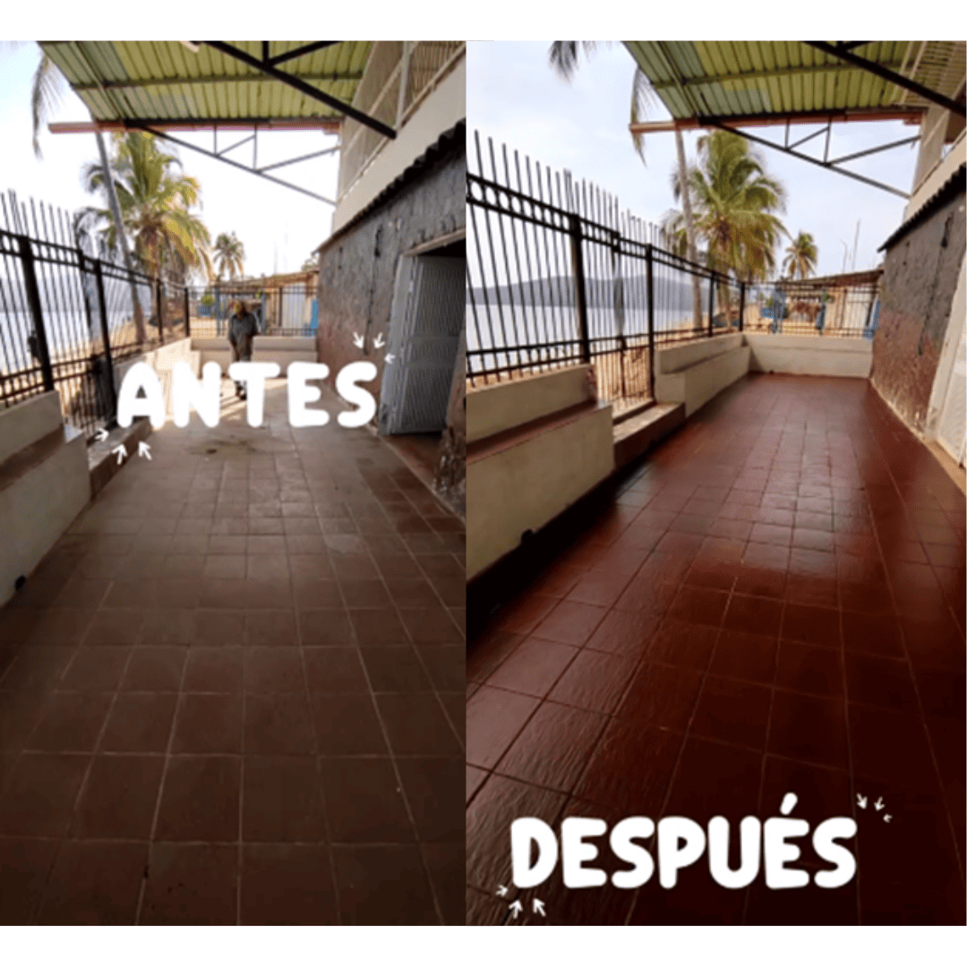 Nueva Cera Pintohogar MaxRenovadora