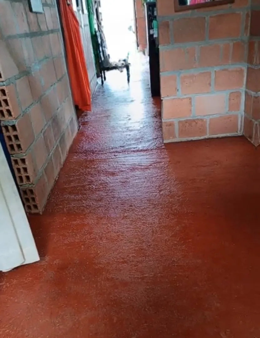 Pasillo de ladrillo con el piso renovado en rojo